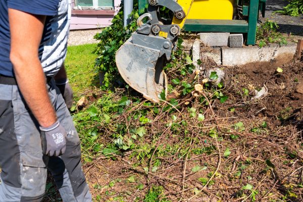 Hedge Removal Service in San Clemente