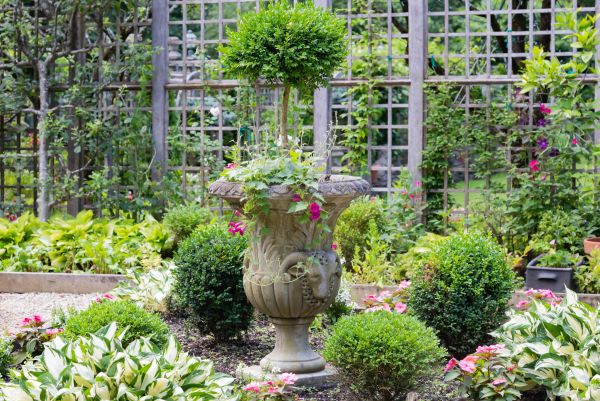 Cost of Topiary Pruning in San Clemente