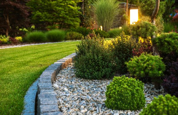 Cost of Bush Relocation in San Clemente