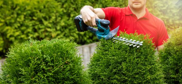 Cost of Hedge Shaping Service in San Clemente