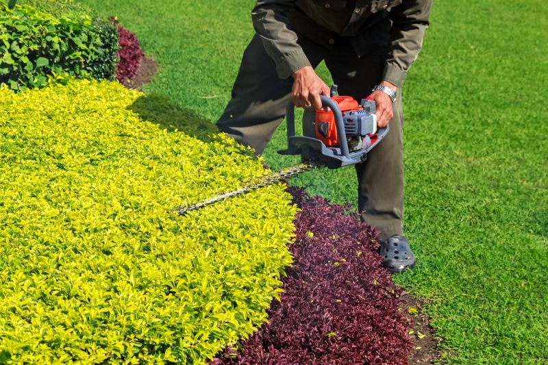 Commercial Shrub Trimming detail