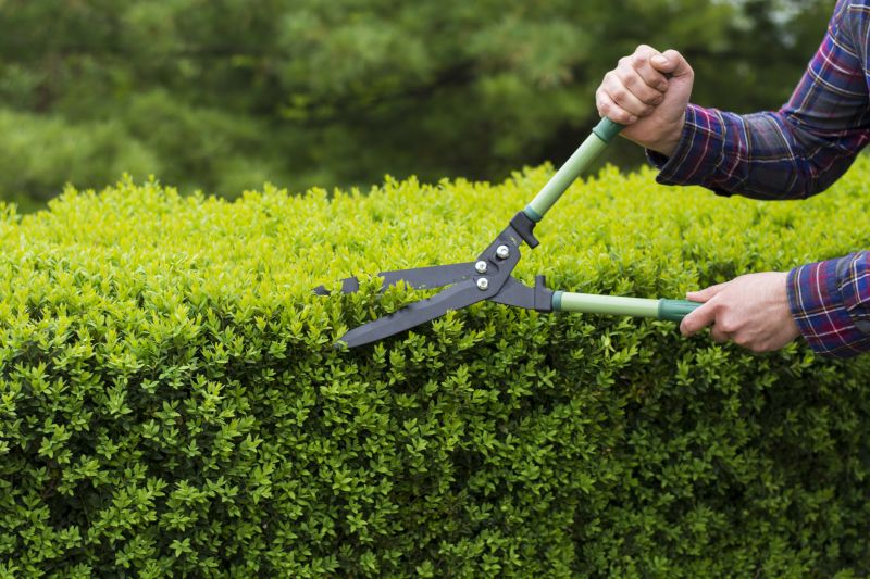 Shrub Cutting