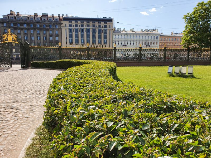 Pruned Shrubs with Clean Lines