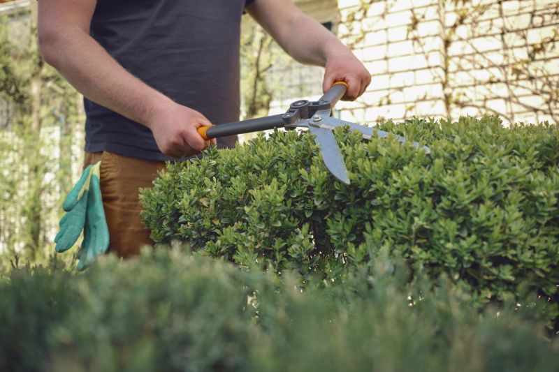Shrub Pruning Tools