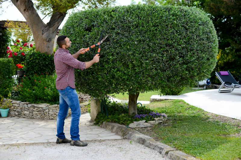 Pruning Expertise